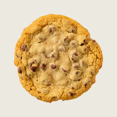 Chocolate Chip Cookie 10mg THC