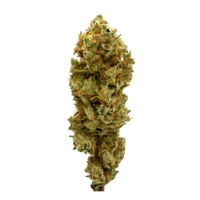 HONEY BANANAS - 14g by BC Weed Co