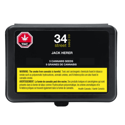 34 street seed co. - JACK HERER - Sativa 5 Cannabis Seeds