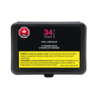 34 street seed co. - PINK LEMONADE - Sativa 5 Cannabis Seeds