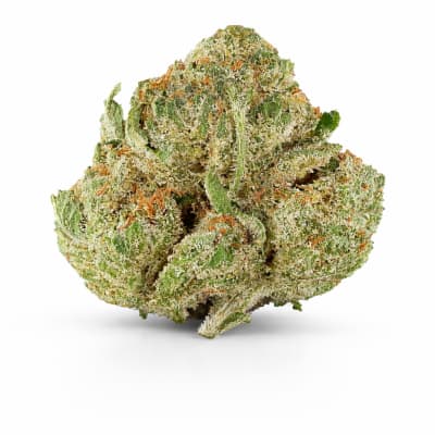 Hidden Stash - MOTOR BREATH - Hybrid