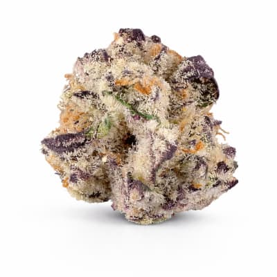 Hidden Stash - CHIMERA 3 - Hybrid