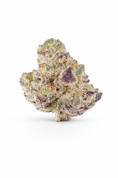 Hidden Stash - APPLE FRITTER - Hybrid