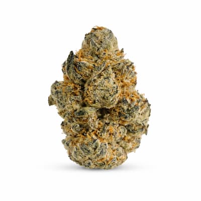 Hidden Stash - TRICO JORDAN - Hybrid
