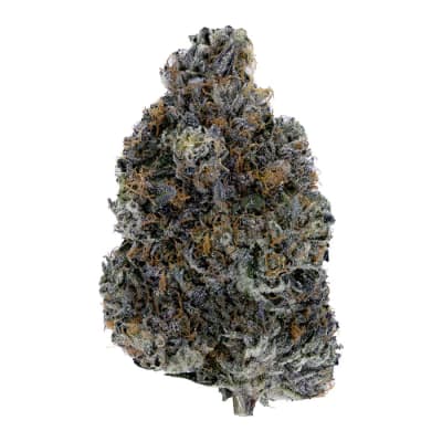 Dark Rainbow by Woody Nelson (INDICA)