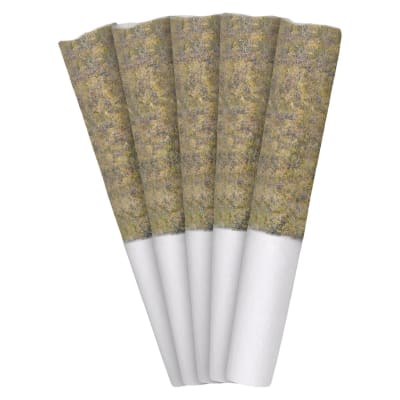 Gran Turismo Pre-Roll 5x0.5g