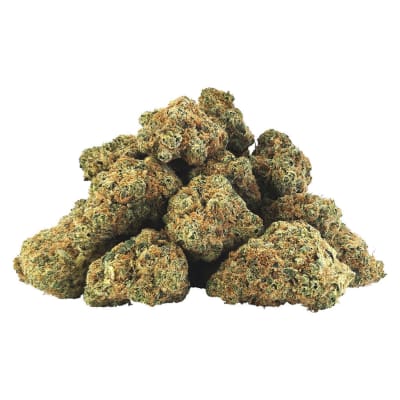 Rntz Scotty Hotty Dried Flower