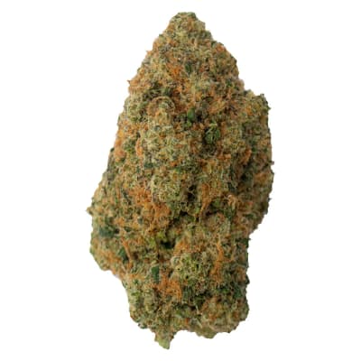 Reptilian Reserve - 7g Sativa