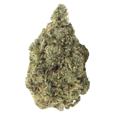 Bubblegum Marker - 14g Indica