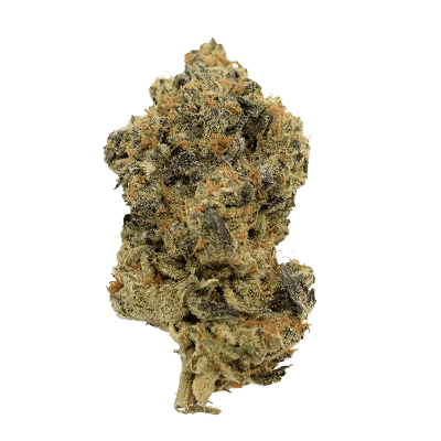 Moonshine Dried Flower