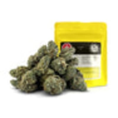 OLD MONEY - 14g by