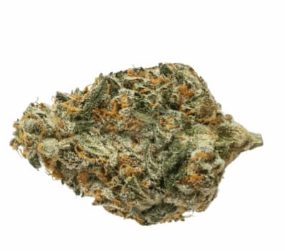 Dank Sinatra Dank Sinatra