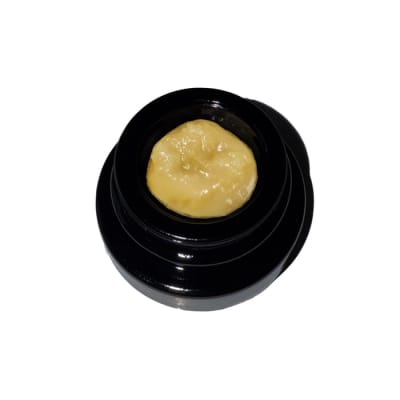 BLACK MAPLE LIVE ROSIN LTO - 1g