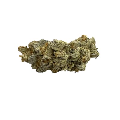 DANTE'S INFERNO 14G - DANTE'S INFERNO - 14