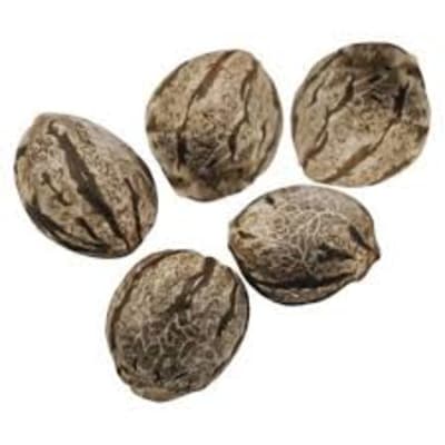 Time Machine Select Feminized