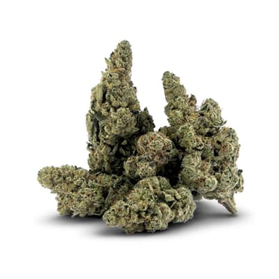 LOBSTER ROLLZ - 7g by