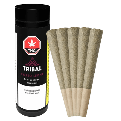 Tribal - PORTO LECHE Hybrid - 5x0.6g