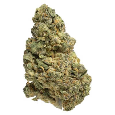 Pepe - PAPAYA POWER - Hybrid