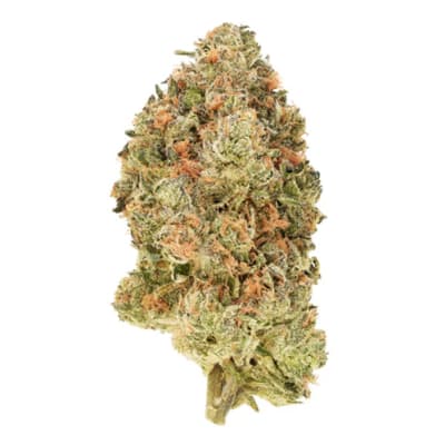 BC ORGANIC BLACK ZOAP 28g - BC ORGANIC BLACK ZOAP LTO - 28