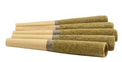 Raspberry Lemonade Sativa - 5pk