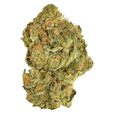 WOWKPOW - GAS LEAK - Hybrid