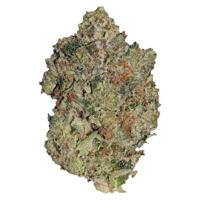 Lindsay OG (Pistol and Paris) - Lindsay OG Dried Flower