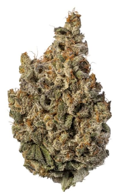 Deathrock Rockstar Death Comatose Craft