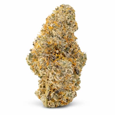 Fuzzy Peaches Indica