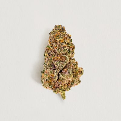 Purple Fog 7g