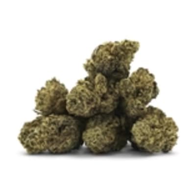 Optimus Crime 3.5g by BC Smalls (SATIVA)