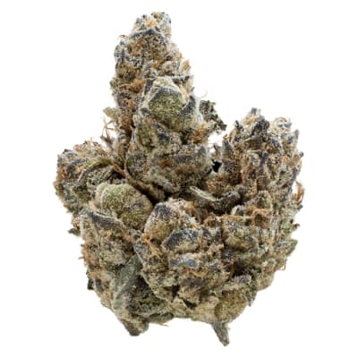 Nugz Florida Oranges Flower - Florida Oranges Dried Flower