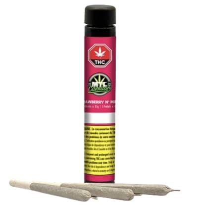 MTL - STRAWBERRY N' MINTZ Sativa - 3x0.5g Pre Rolls