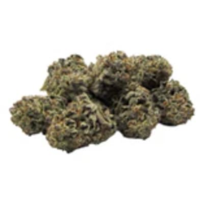 GAS PEDAL BY Green Mountain Health Alliance - 28g