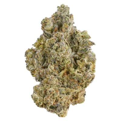 LA BOMBA - 28g by Broken Coast