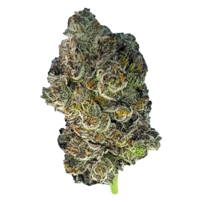PINK ZKITTLEZ LTO - 7g by