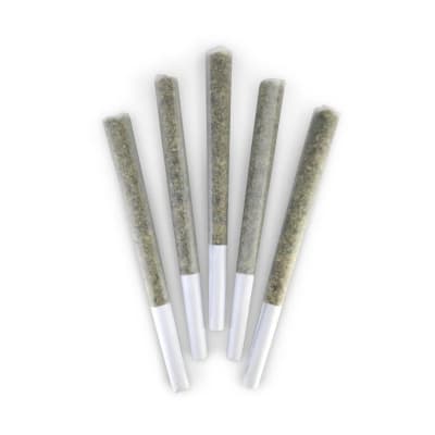 FRENCH BEIGNET PRE-ROLLS - 2.5