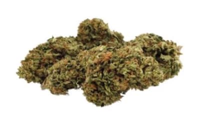 Day Dreamin (Umpqua) Infused CBD Flower | 7g