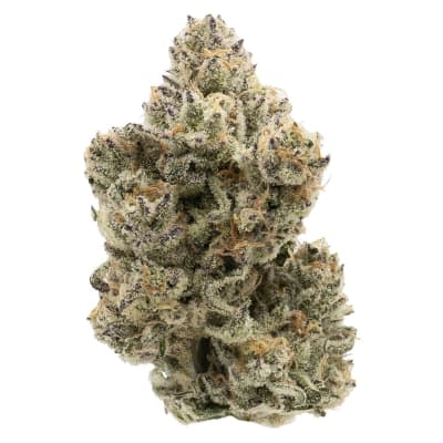 Northern Canna The Collective Flower - Northern Canna The Collective Half Q 3.5g Dried Flower
