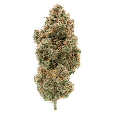 BC ORGANIC TANGERINE SUNRISE - 3.5