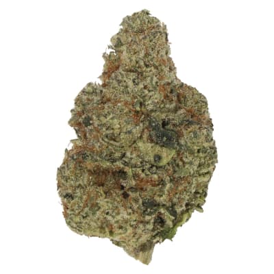 Sherbadough Dried Flower