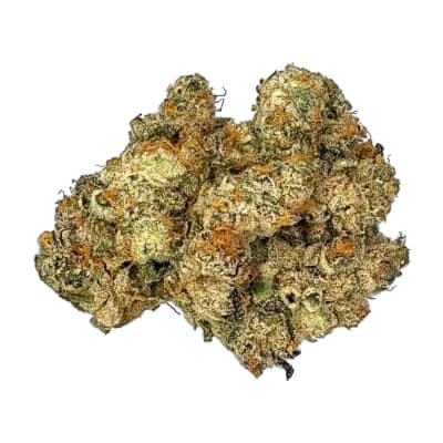Roll-X - 7G