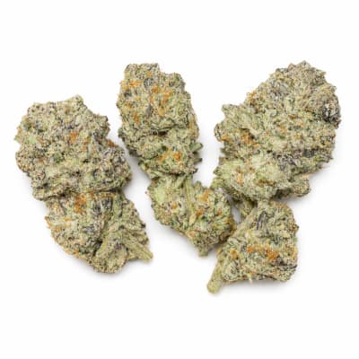 Bud Boys - BLUEBERRY PANCAKES - Hybrid