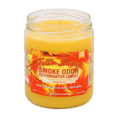 Smoke Odor - Fall'n Leaves - 13oz Candle