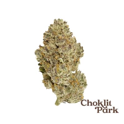 Golden Pineapple Dried Flower
