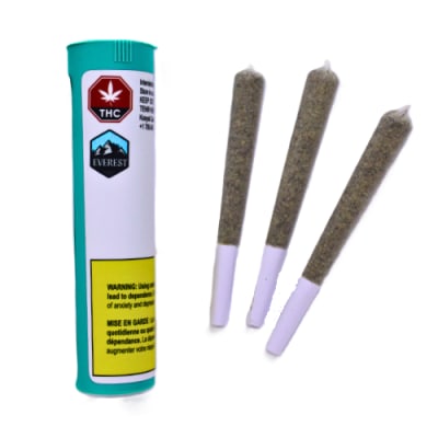 Everest Pre-rolls - Ego Checker 10 x 0.5g Pre-Rolls