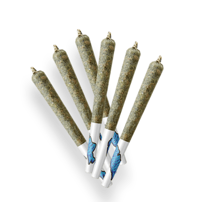 Gelato Cake 7 x 0.5g
