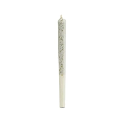 BANGTAIL PRE-ROLLS - 60 x 0.5g by