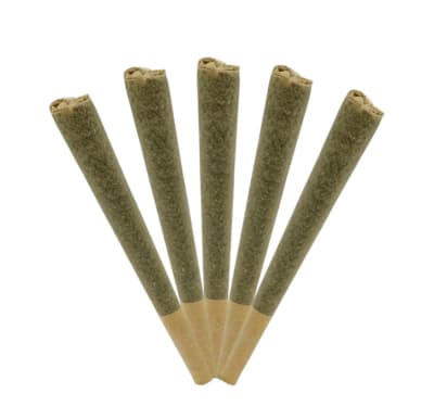 GIDDY UP SATIVA PRE-ROLLS - 2.5