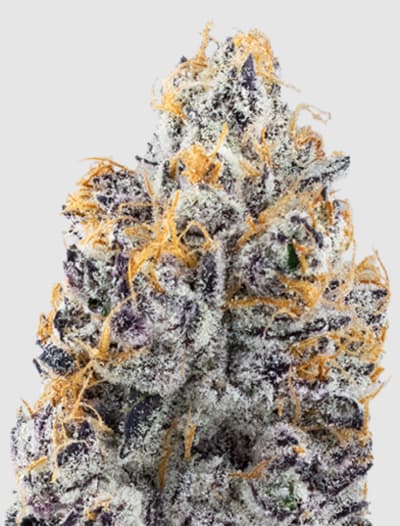 High Fructose