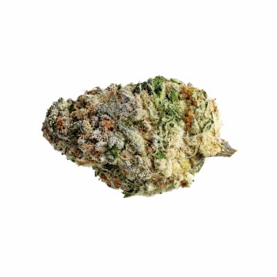 Fraser Valley - TOP CROP - Indica